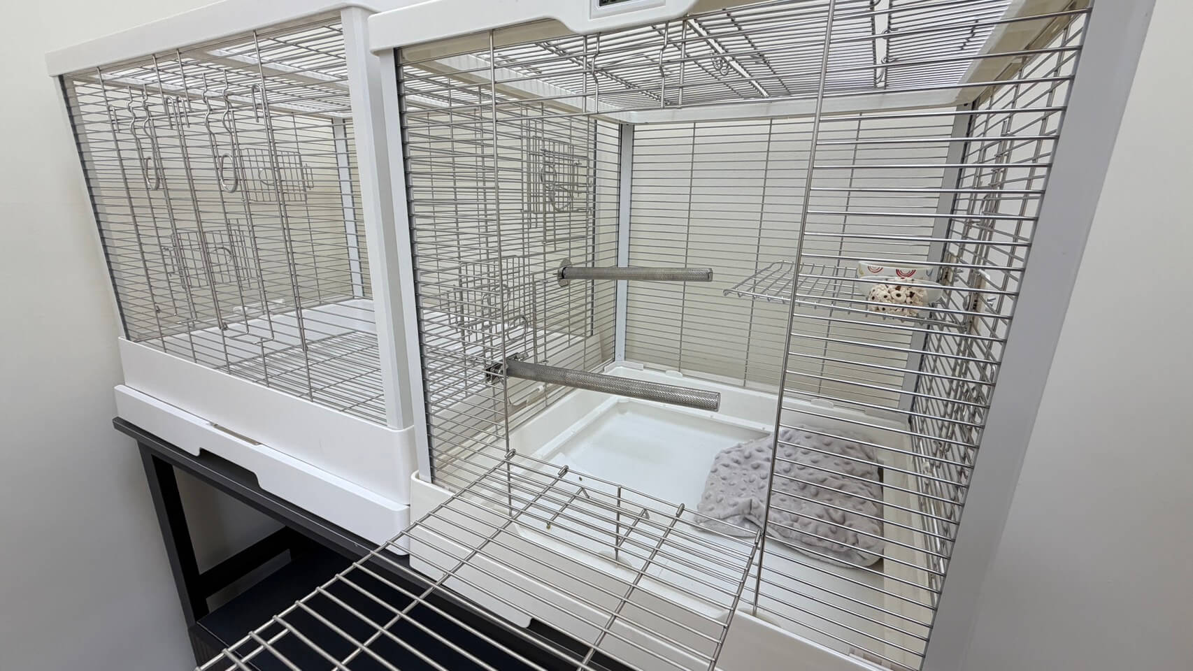 點擊查看大圖 壹伍鸚鵡・鳥類 標準房 房型照片 3