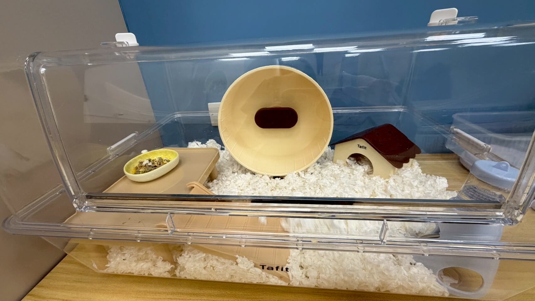 點擊查看大圖 壹伍倉鼠・刺蝟 標準型 房型照片 2