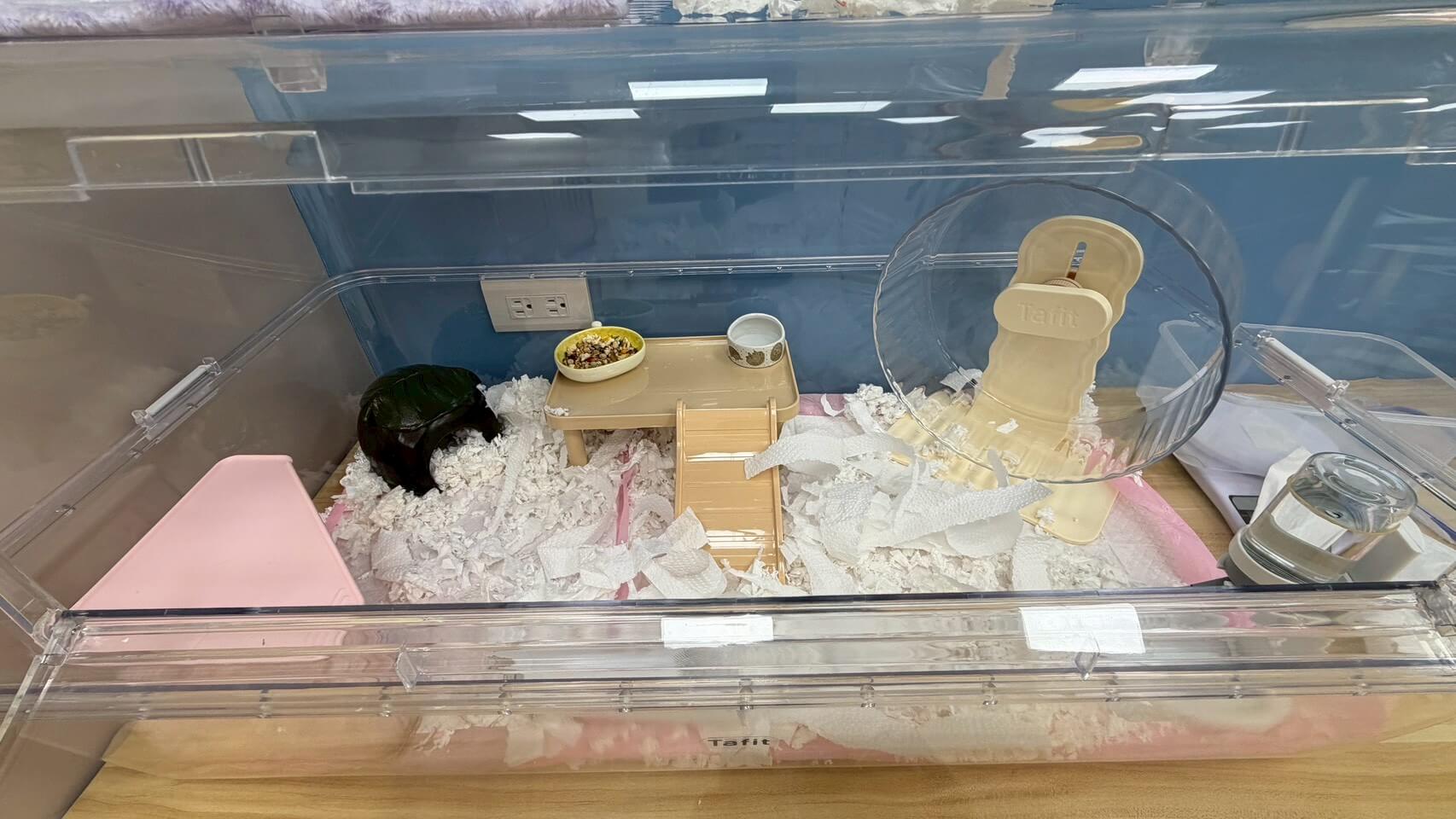 點擊查看大圖 壹伍倉鼠・刺蝟 豪華型 房型照片 3